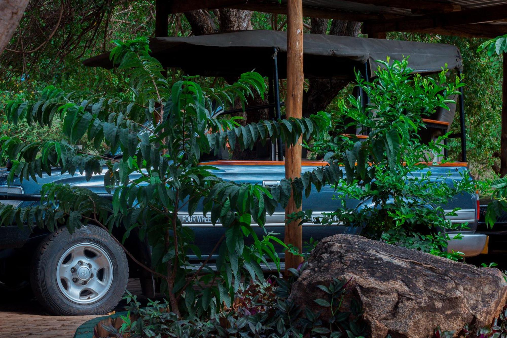 Mkomazi Hotels And Camps Hegoma Eksteriør bilde