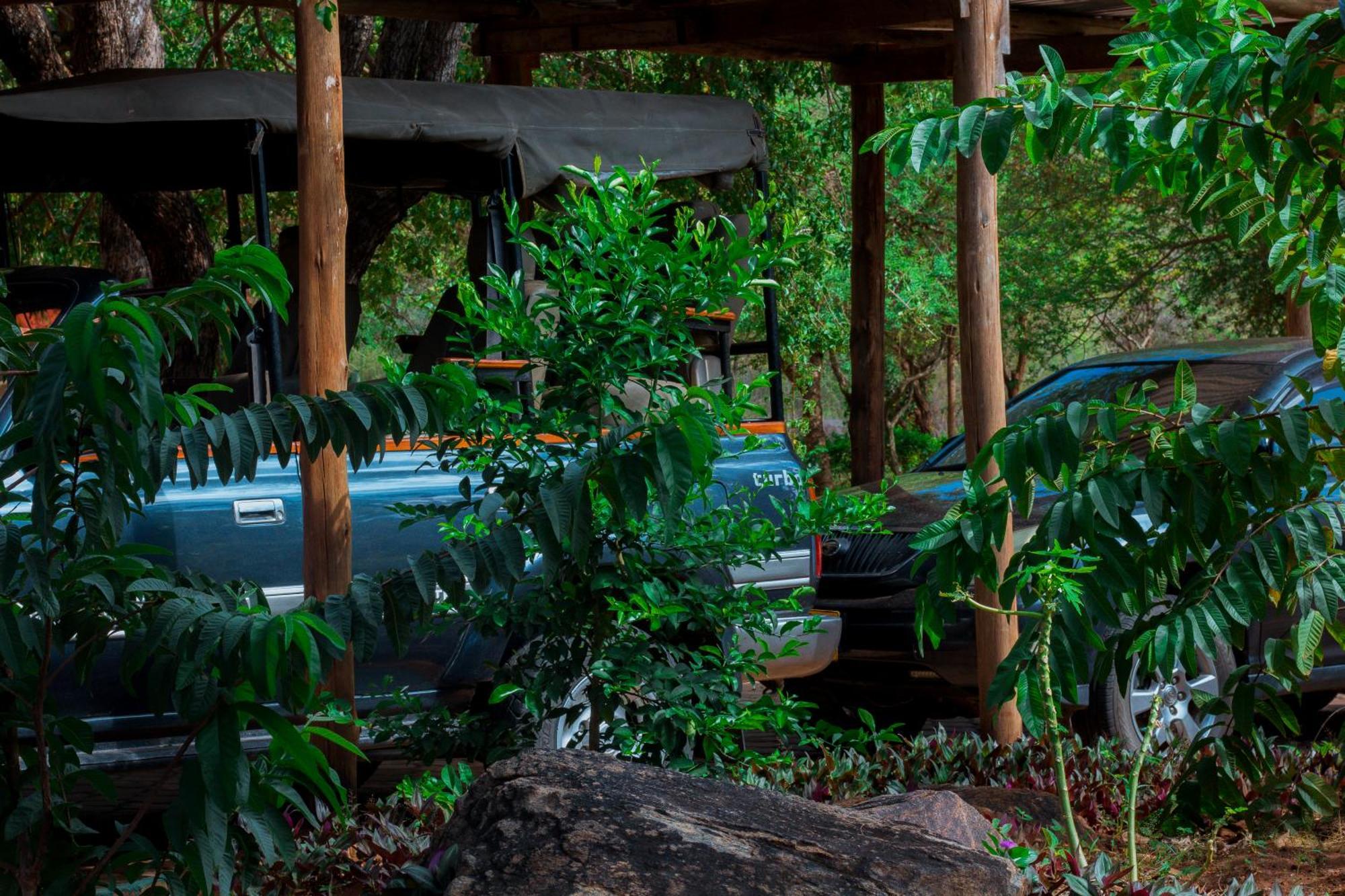 Mkomazi Hotels And Camps Hegoma Eksteriør bilde